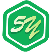 5Y浏览器